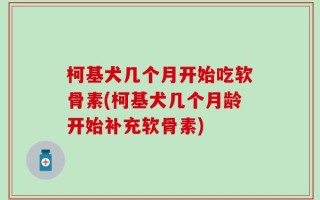 柯基犬几个月开始吃软骨素(柯基犬几个月龄开始补充软骨素)