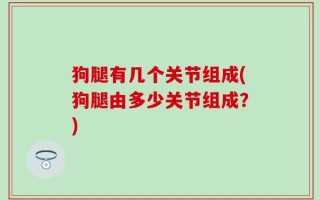 狗腿有几个关节组成(狗腿由多少关节组成？)
