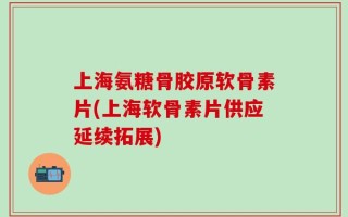 上海氨糖骨胶原软骨素片(上海软骨素片供应延续拓展)