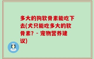 多大的狗软骨素能吃下去(犬只能吃多大的软骨素？- 宠物营养建议)