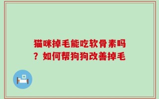 猫咪掉毛能吃软骨素吗？如何帮狗狗改善掉毛