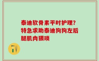 泰迪软骨素平时护理？特急求助泰迪狗狗左后腿肌肉猥琐