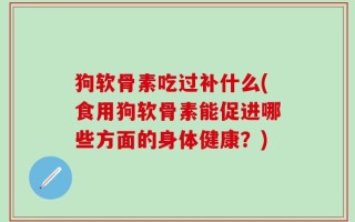 狗软骨素吃过补什么(食用狗软骨素能促进哪些方面的身体健康？)
