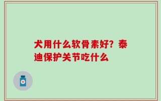 犬用什么软骨素好？泰迪保护关节吃什么