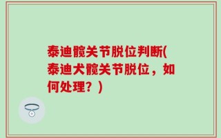 泰迪髋关节脱位判断(泰迪犬髋关节脱位，如何处理？)
