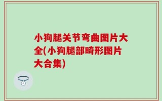 小狗腿关节弯曲图片大全(小狗腿部畸形图片大合集)