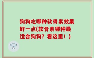 狗狗吃哪种软骨素效果好一点(软骨素哪种最适合狗狗？看这里！)