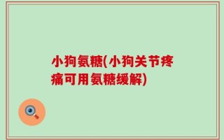 小狗氨糖(小狗关节疼痛可用氨糖缓解)