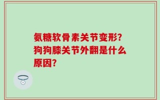 氨糖软骨素关节变形？狗狗膝关节外翻是什么原因？