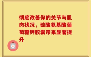 彻底改善你的关节与肌肉状况，硫酸氨基酸葡萄糖钾胶囊带来显著提升