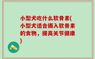 小型犬吃什么软骨素(小型犬适合摄入软骨素的食物，提高关节健康)