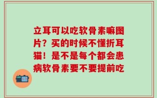 立耳可以吃软骨素嘛图片？买的时候不懂折耳猫！是不是每个都会患病软骨素要不要提前吃