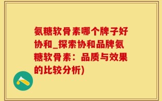 氨糖软骨素哪个牌子好协和_探索协和品牌氨糖软骨素：品质与效果的比较分析)
