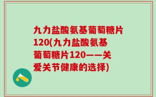 九力盐酸氨基葡萄糖片120(九力盐酸氨基葡萄糖片120——关爱关节健康的选择)