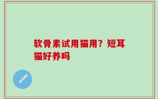 软骨素试用猫用？短耳猫好养吗