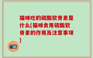 猫咪吃的硫酸软骨素是什么(猫咪食用硫酸软骨素的作用及注意事项)