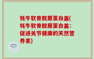 牦牛软骨胶原蛋白盖(牦牛软骨胶原蛋白盖：促进关节健康的天然营养素)