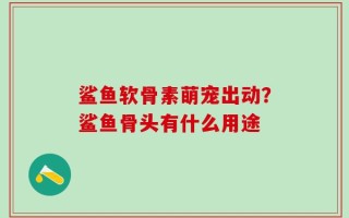 鲨鱼软骨素萌宠出动？鲨鱼骨头有什么用途