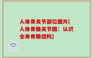 人体骨关节部位图片(人体骨骼关节图：认识全身骨骼结构)
