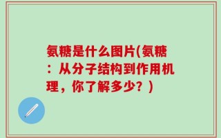 氨糖是什么图片(氨糖：从分子结构到作用机理，你了解多少？)