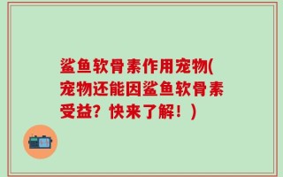 鲨鱼软骨素作用宠物(宠物还能因鲨鱼软骨素受益？快来了解！)