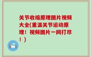 关节收缩原理图片视频大全(重温关节运动原理！视频图片一网打尽！)