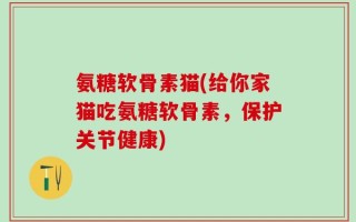 氨糖软骨素猫(给你家猫吃氨糖软骨素，保护关节健康)