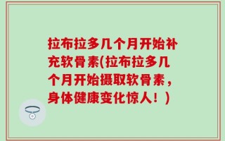 拉布拉多几个月开始补充软骨素(拉布拉多几个月开始摄取软骨素，身体健康变化惊人！)