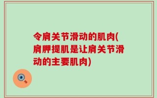 令肩关节滑动的肌肉(肩胛提肌是让肩关节滑动的主要肌肉)