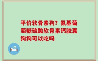 平价软骨素狗？氨基葡萄糖硫酸软骨素钙胶囊狗狗可以吃吗