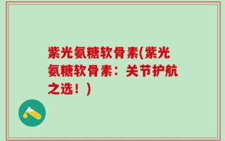 紫光氨糖软骨素(紫光氨糖软骨素：关节护航之选！)