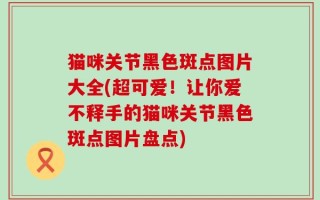 猫咪关节黑色斑点图片大全(超可爱！让你爱不释手的猫咪关节黑色斑点图片盘点)