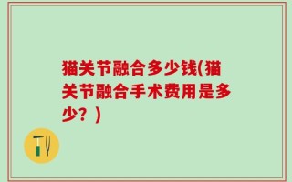 猫关节融合多少钱(猫关节融合手术费用是多少？)