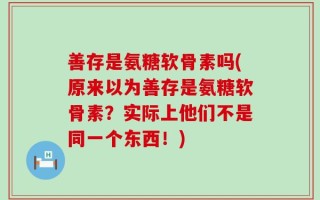 善存是氨糖软骨素吗(原来以为善存是氨糖软骨素？实际上他们不是同一个东西！)