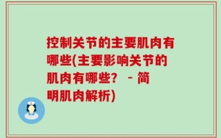 控制关节的主要肌肉有哪些(主要影响关节的肌肉有哪些？ - 简明肌肉解析)
