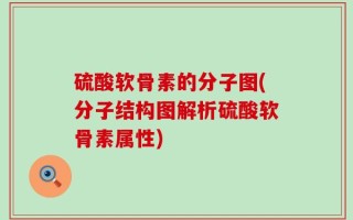 硫酸软骨素的分子图(分子结构图解析硫酸软骨素属性)