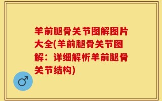 羊前腿骨关节图解图片大全(羊前腿骨关节图解：详细解析羊前腿骨关节结构)