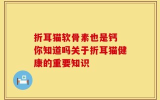 折耳猫软骨素也是钙 你知道吗关于折耳猫健康的重要知识