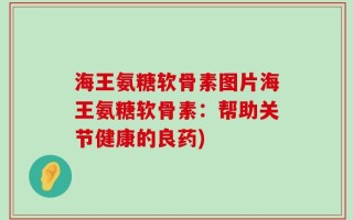 海王氨糖软骨素图片海王氨糖软骨素：帮助关节健康的良药)