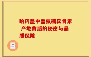 哈药盖中盖氨糖软骨素 产地背后的秘密与品质保障