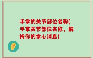 手掌的关节部位名称(手掌关节部位名称，解析你的掌心消息)