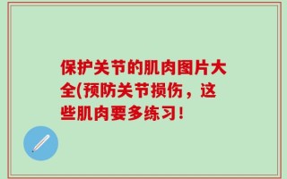 保护关节的肌肉图片大全(预防关节损伤，这些肌肉要多练习！