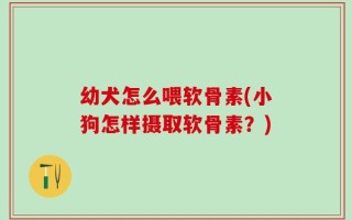 幼犬怎么喂软骨素(小狗怎样摄取软骨素？)