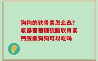 狗狗的软骨素怎么选？氨基葡萄糖硫酸软骨素钙胶囊狗狗可以吃吗