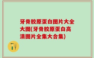牙骨胶原蛋白图片大全大图(牙骨胶原蛋白高清图片全集大合集)