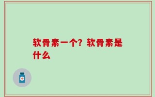 软骨素一个？软骨素是什么