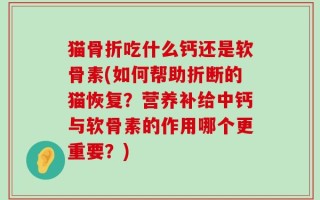 猫骨折吃什么钙还是软骨素(如何帮助折断的猫恢复？营养补给中钙与软骨素的作用哪个更重要？)