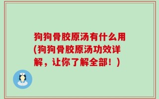狗狗骨胶原汤有什么用(狗狗骨胶原汤功效详解，让你了解全部！)