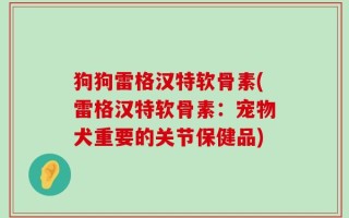 狗狗雷格汉特软骨素(雷格汉特软骨素：宠物犬重要的关节保健品)