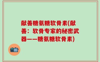 献善糖氨糖软骨素(献善：软骨专家的秘密武器——糖氨糖软骨素)
